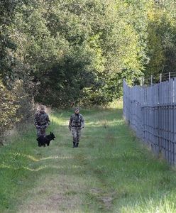 Mur bałtycki. Litwa, Łotwa i Estonia odgradzają się od Rosji