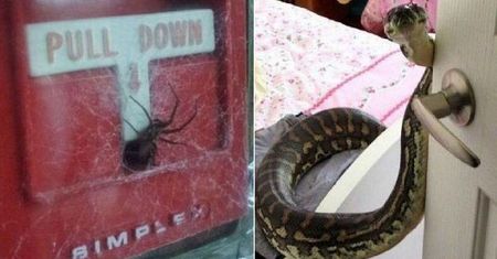 Czego się boisz? Każdy ma swoje lęki i fobie