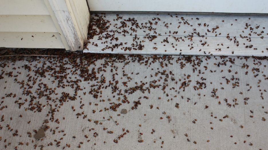 Mieszkańcy skarżą się również na złe traktowanie, Foto: Zdjęcie ilustracyjne