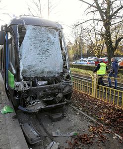 Szczecin. Zderzenie tramwajów. Motorniczy zasłabł