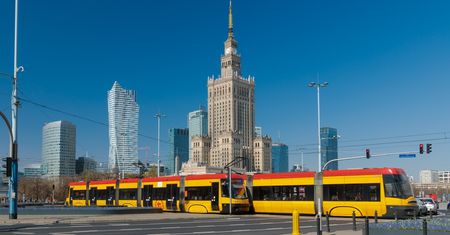 Plaga komarów. "Pasażerowie tramwaju próbowali uciekać w panice"