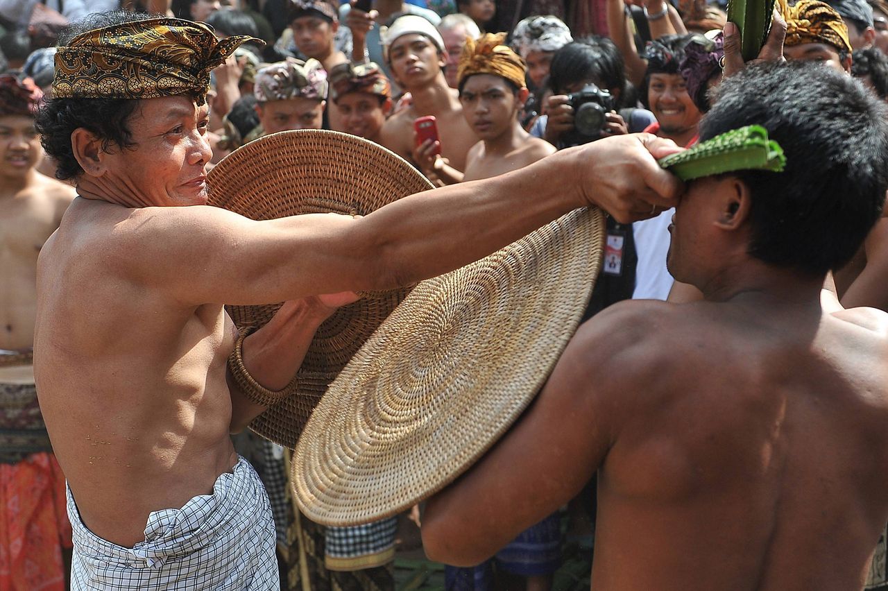 Najdziwniejsza wojna świata. Broń to kolczaste liście