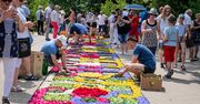 Lista UNESCO. Chcą wpisać dywany kwiatowe i sokolnictwo