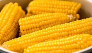 Meksykańska uczta. 8 pomysłów na kukurydzę