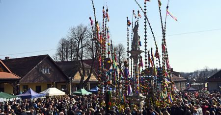 To miasto słynie z dużych palem. Największa miała ponad 32 metry