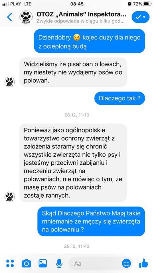 Karelskie psy na niedźwiedzie to rasa poszukiwana przez myśliwych. 
