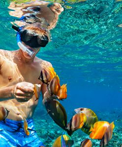 Snorkeling - jak zacząć? Wybieramy sprzęt do snurkowania