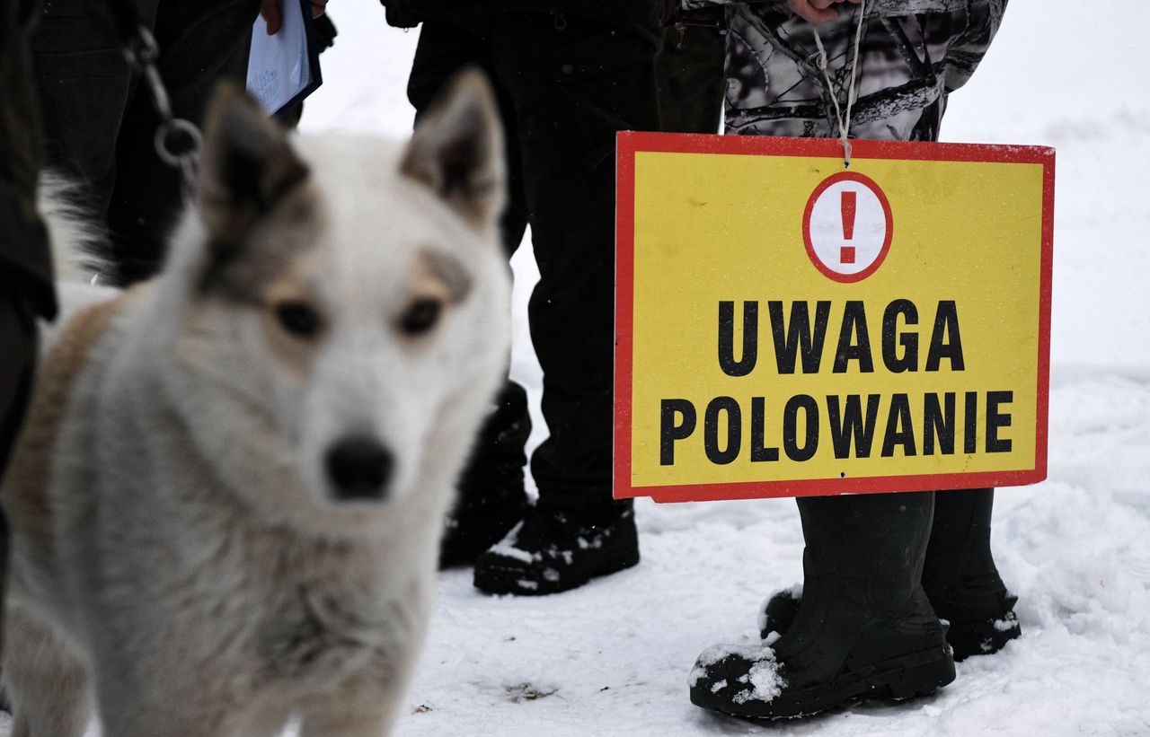 Tworóg. Myśliwy pomógł policji zatrzymać kłusownika. Usłyszał strzały