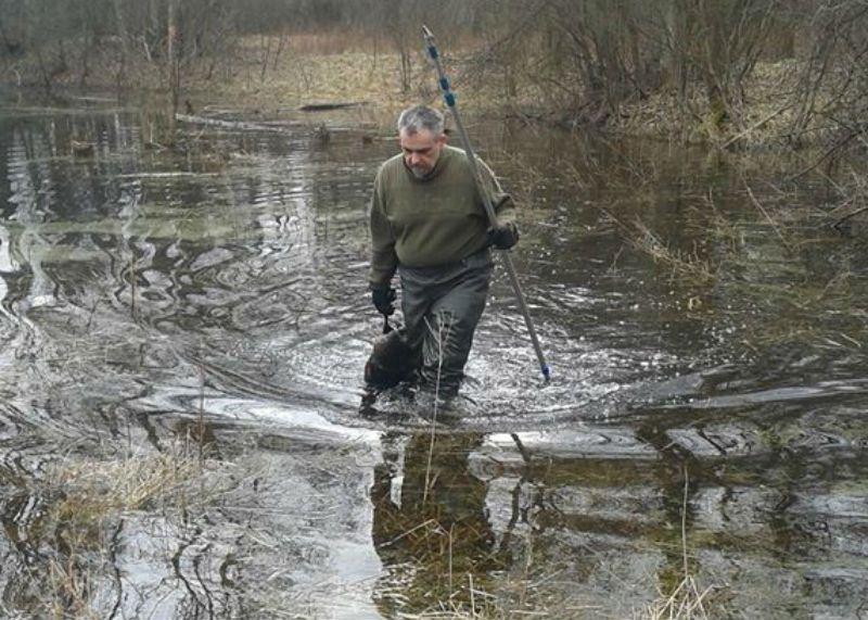 Problem z bobrami? Jedyny zawodowy łowca w Polsce zastrzelił ich ponad tysiąc