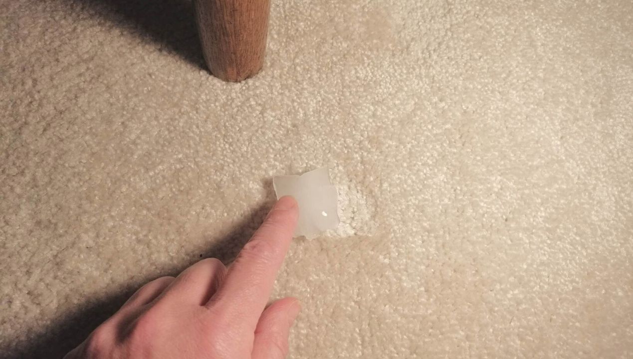 Położyła kostki lodu na dywanie, a efekt przeszedł najśmielsze oczekiwania!