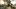 Call of Duty: Black Ops Cold War. Wyciekł fragment trybu sieciowego