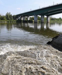 Warszawa. Ministerstwo ujawnia przyczynę awarii w oczyszczalni ścieków "Czajka"