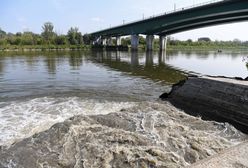 Warszawa. Ministerstwo ujawnia przyczynę awarii w oczyszczalni ścieków "Czajka"