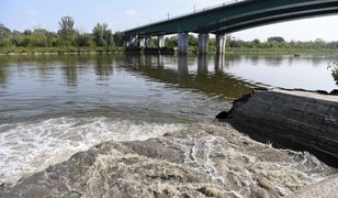 Warszawa. Ministerstwo ujawnia przyczynę awarii w oczyszczalni ścieków "Czajka"