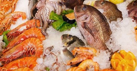 Poznaj produkty spożywcze bogate w składniki odżywcze