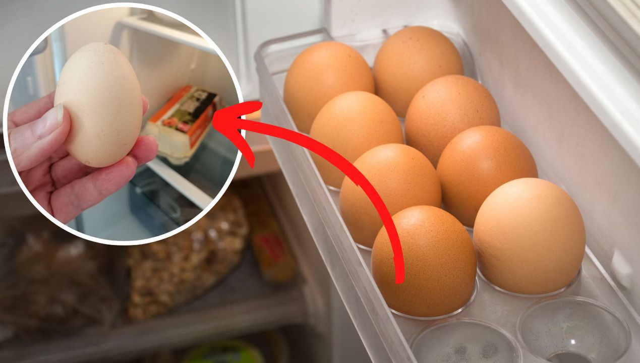 Nigdy nie przechowuję jajek w drzwiach lodówki. Oto dlaczego