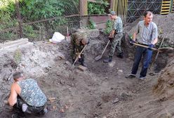 Ekshumacja ofiar NKWD - zobacz zdjęcia