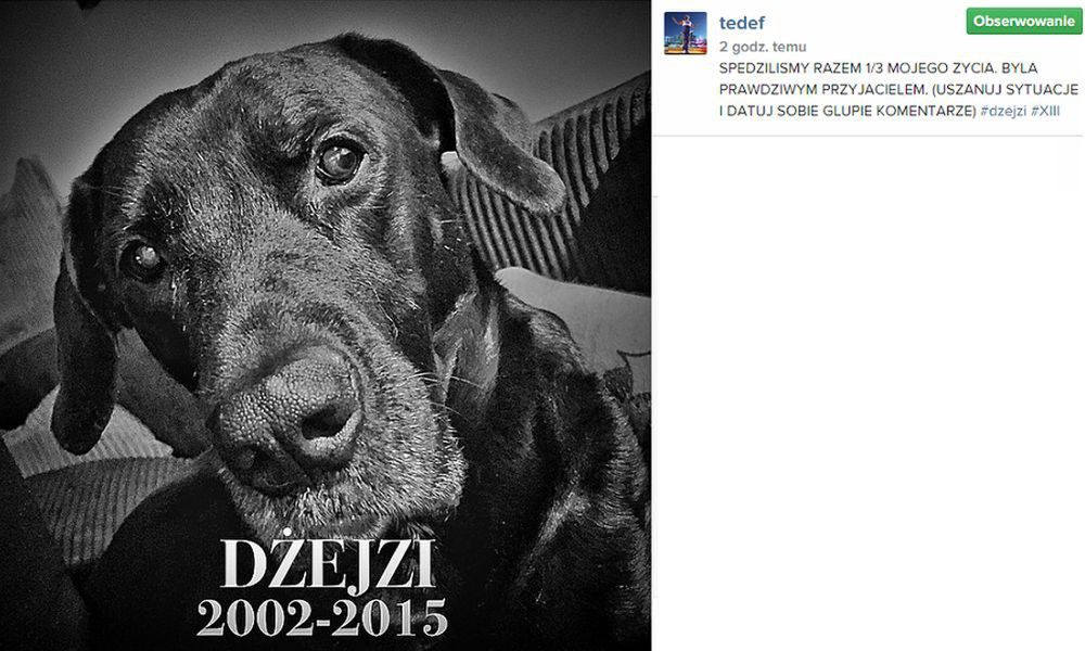 Tede, dżejzi
Fotografia: screen z Instagram.com