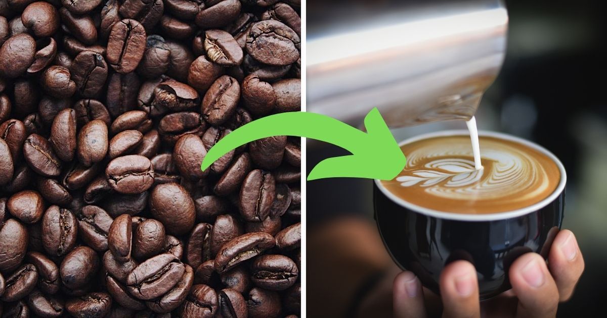 Czy kawa może się przeterminować? Jak poznać starą kawę?