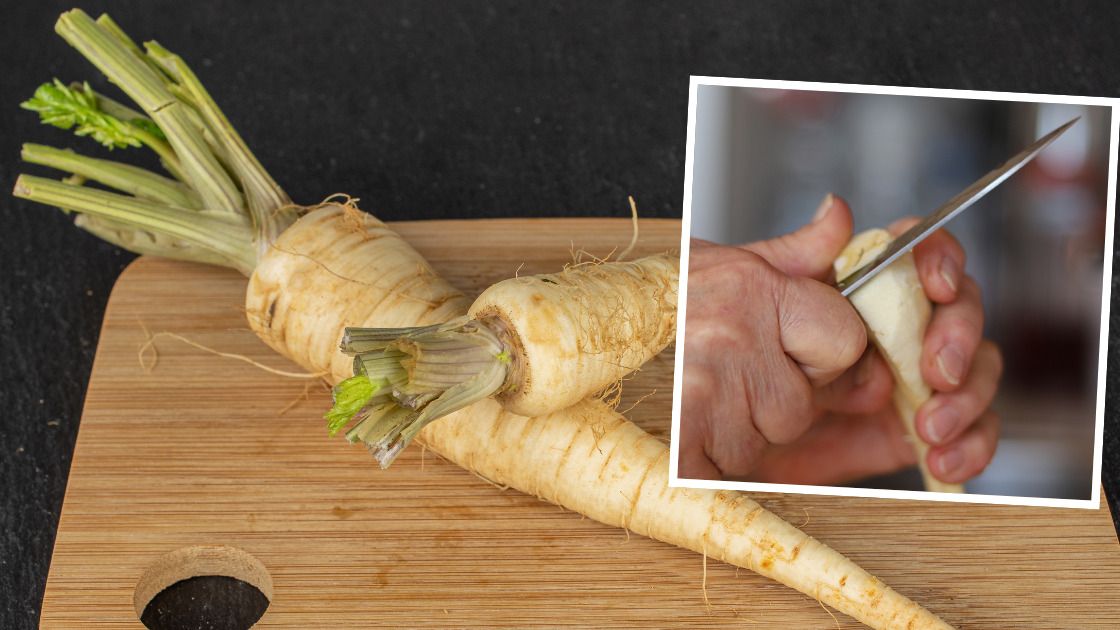 Hodowanie pietruszki