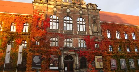 Wrocław: nie będzie obchodów Chińskiego Nowego Roku w muzeum, powodem jest koronawirus