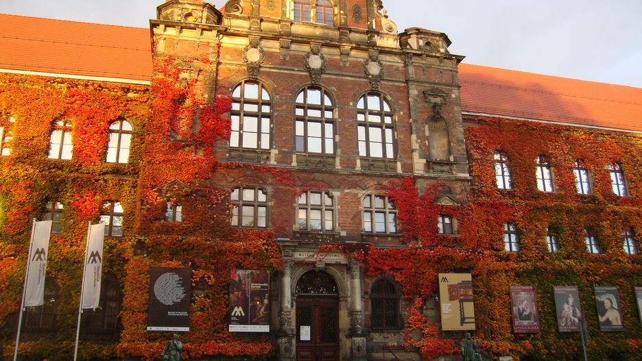 Nie będzie obchodów Chińskiego Nowego Roku w Muzeum Narodowym we Wrocławiu. Organizatorzy obawiają się koronawirusa.