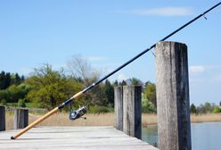 Kłusownik łowił na osiem wędek. Do strażników wybiegł z nożem