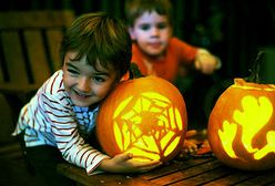 "D" jak dynia, czyli nowa amerykańska moda?