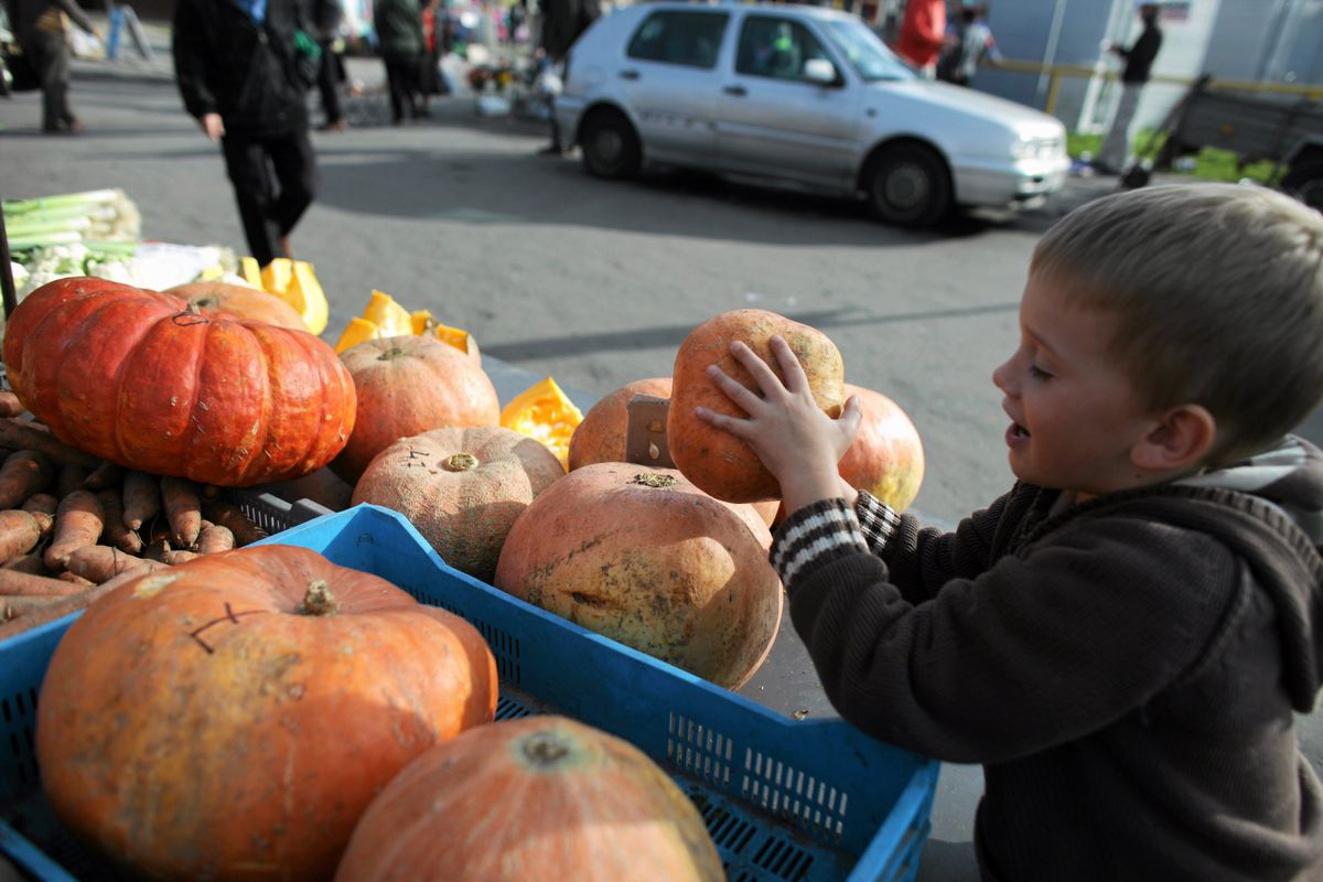 Politycy PiS chcą zakazać Halloween w szkołach. "Te dynie są przerażające"