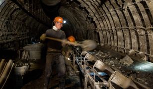 Wiesz z kim masz do czynienia? Quiz językowy z nazw zawodów.