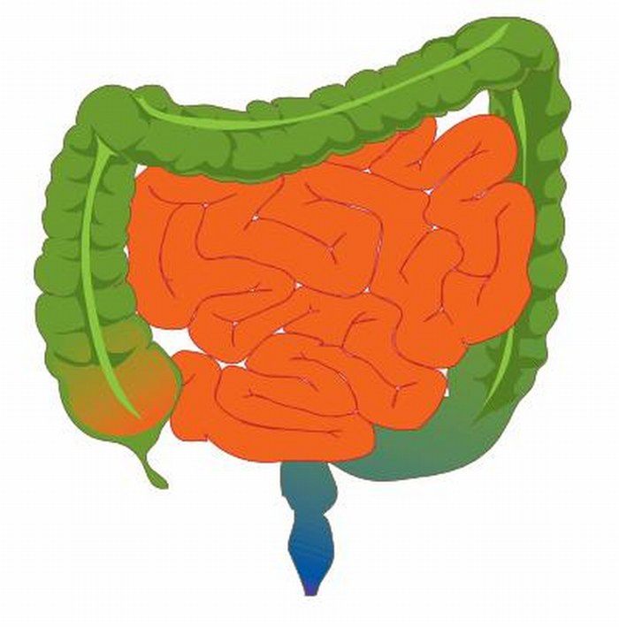Uchyłkowatość jelita grubego jest niezwykle powszechna wśród mieszkańców USA.