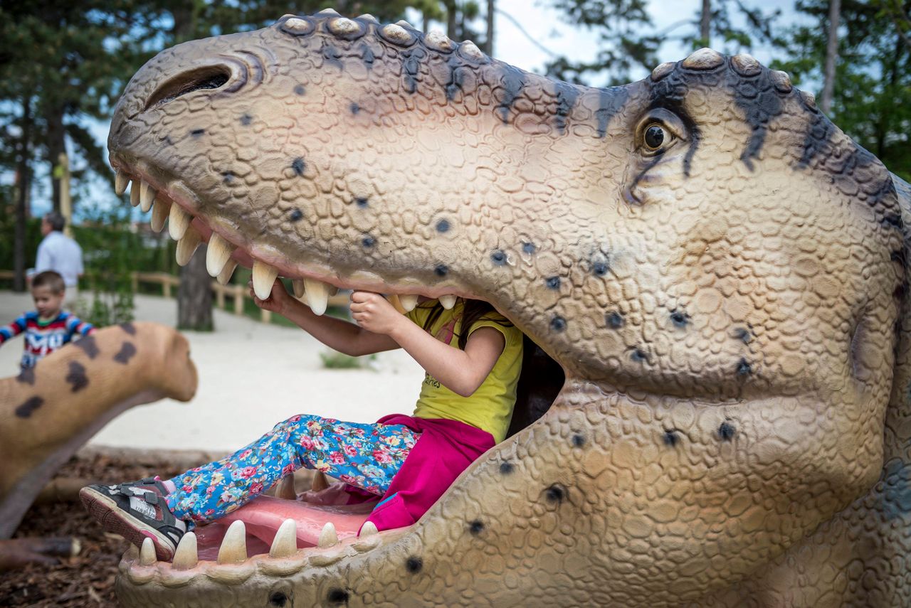Chwalą się gigantycznym parkiem dinozaurów. Co w środku?