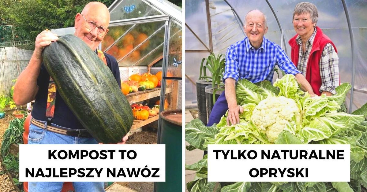 11 ogrodowych zasad, którymi kierowali się nasi dziadkowie. Stare metody są wciąż skuteczne