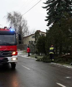 Olbrzymie awarie w dostawie energii elektrycznej. Problemy w ponad 3,8 tys. miejscowości