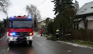 Olbrzymie awarie w dostawie energii elektrycznej. Problemy w ponad 3,8 tys. miejscowości