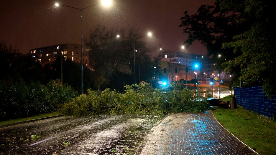 Skutki orkanu Ksawery 