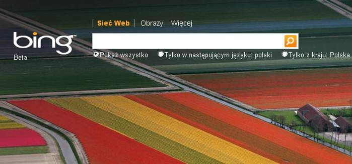 Wyszukiwarka Bing zyskuje na popularności