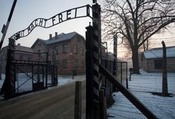 Wizyta wiceprezydenta USA w Polsce. Odwiedzi obóz Auschwitz-Birkenau