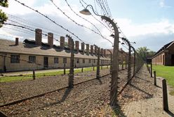 Ukradli z Auschwitz kawałek ogrodzenia. Niesforni turyści uniewinnieni