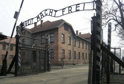 Rozebrali się do naga, rzucali petardy przed bramą Auschwitz