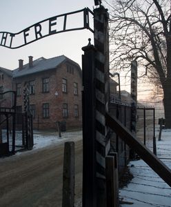 Wizyta wiceprezydenta USA w Polsce. Odwiedzi obóz Auschwitz-Birkenau