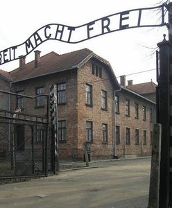 Zabili owcę przed bramą Auschwitz. Wyrok dla Białorusinów