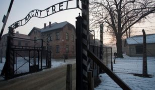 Wizyta wiceprezydenta USA w Polsce. Odwiedzi obóz Auschwitz-Birkenau