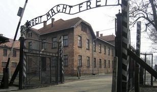Rozebrali się do naga, rzucali petardy przed bramą Auschwitz