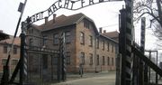 Anglicy ukarani za wandalizm w Auschwitz. Byli na szkolnej wycieczce