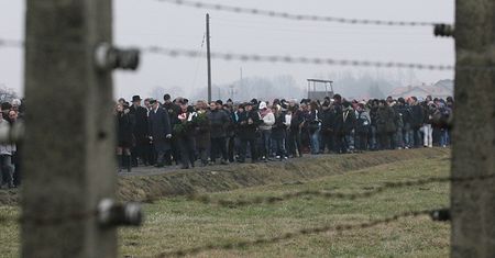 Ksiądz lefebrysta: komory gazowe służyły do dezynfekcji