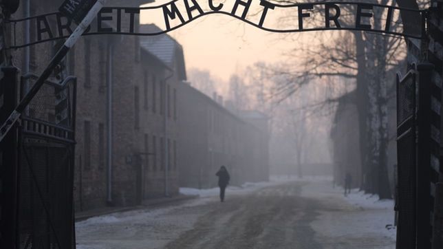 Yad Vashem zabiera głos ws. przyjęcia ustawy o IPN 