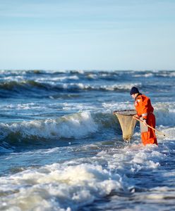 Znajdź na plaży drobinki bałtyckiego złota. Podpowiadamy, gdzie szukać