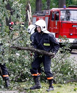 Nadchodzą wichury. Ostrzeżenie IMGW na północy Polski