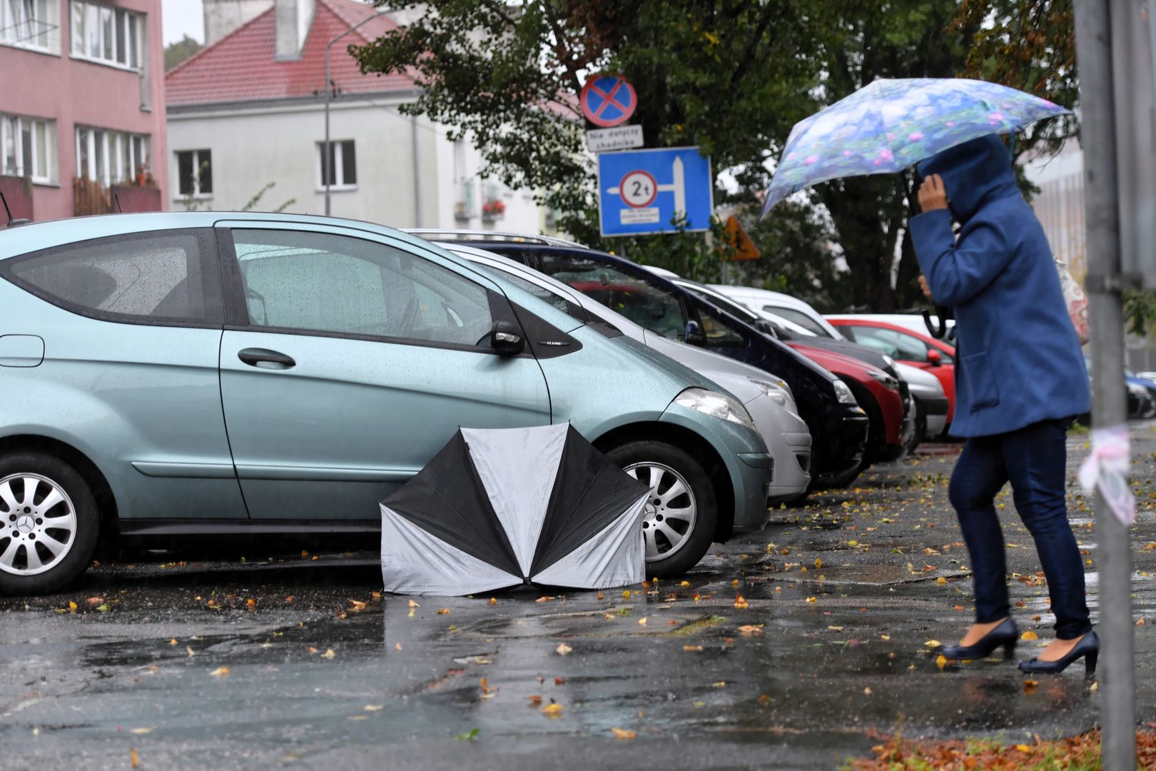 Prognoza pogody. IMGW wydał ostrzeżenie 1. stopnia. Chodzi o silny wiatr